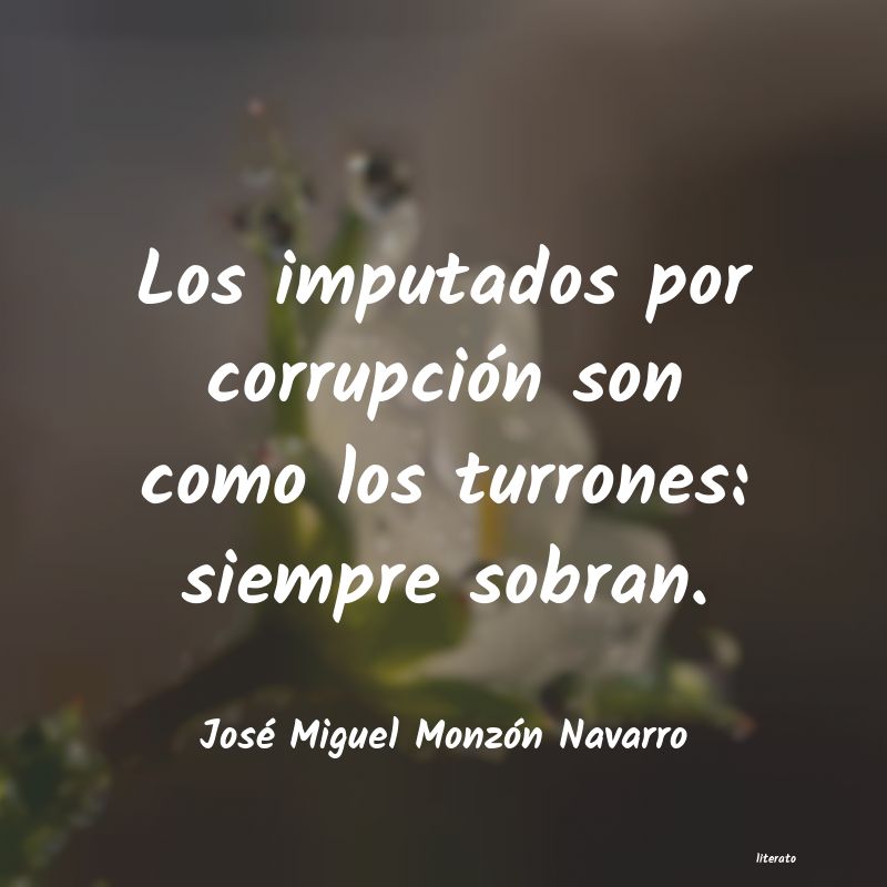 Frases de José Miguel Monzón Navarro