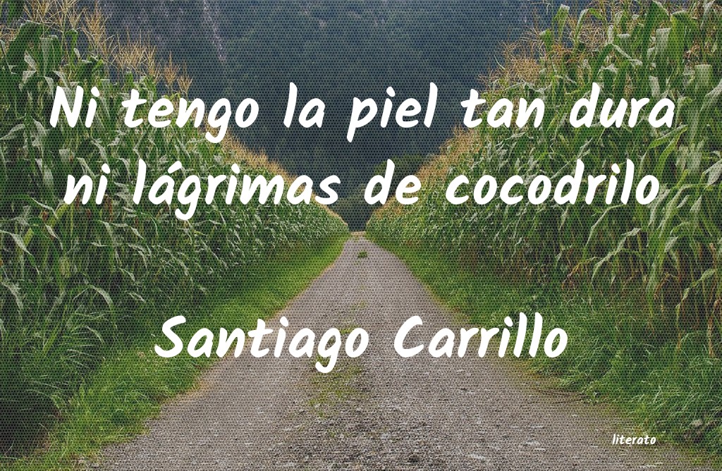 Frases de Santiago Carrillo