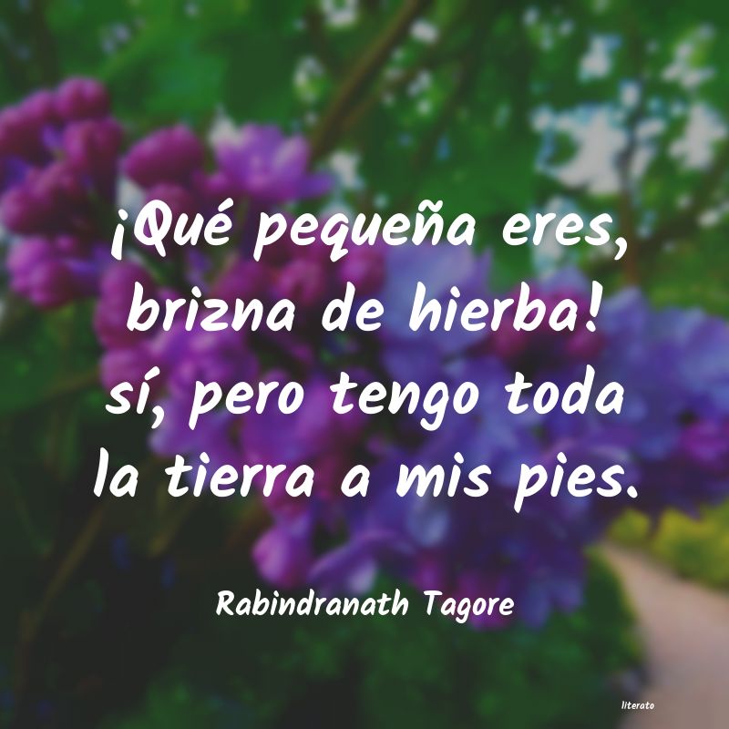 Frases de Rabindranath Tagore