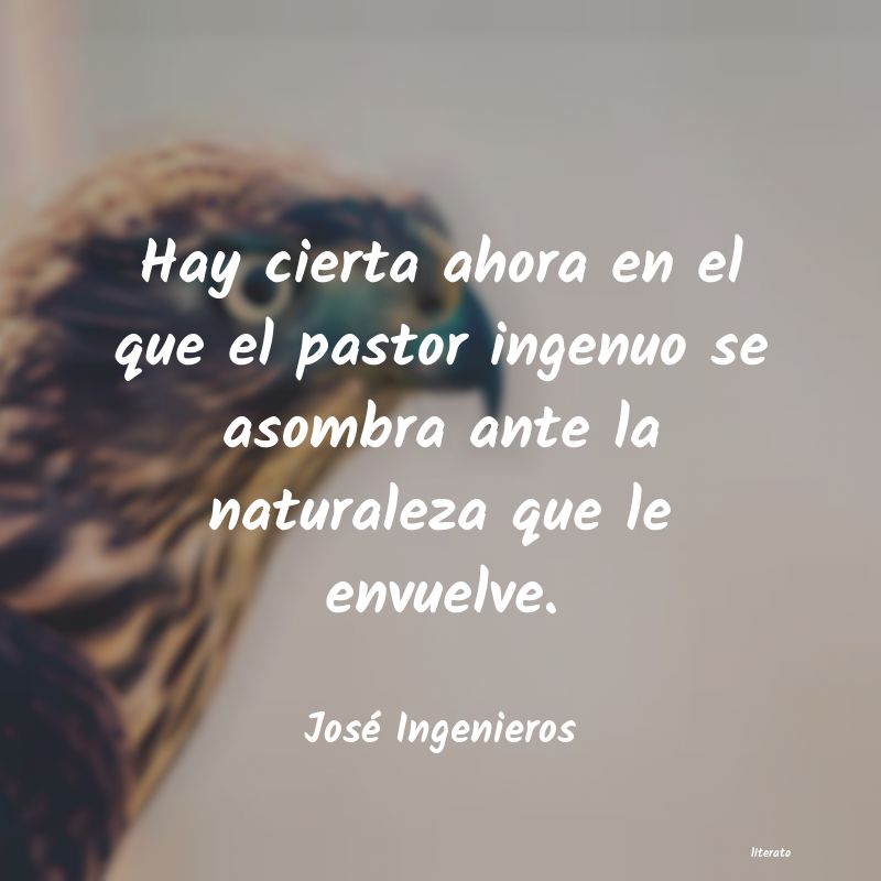 frases de José Ingenieros