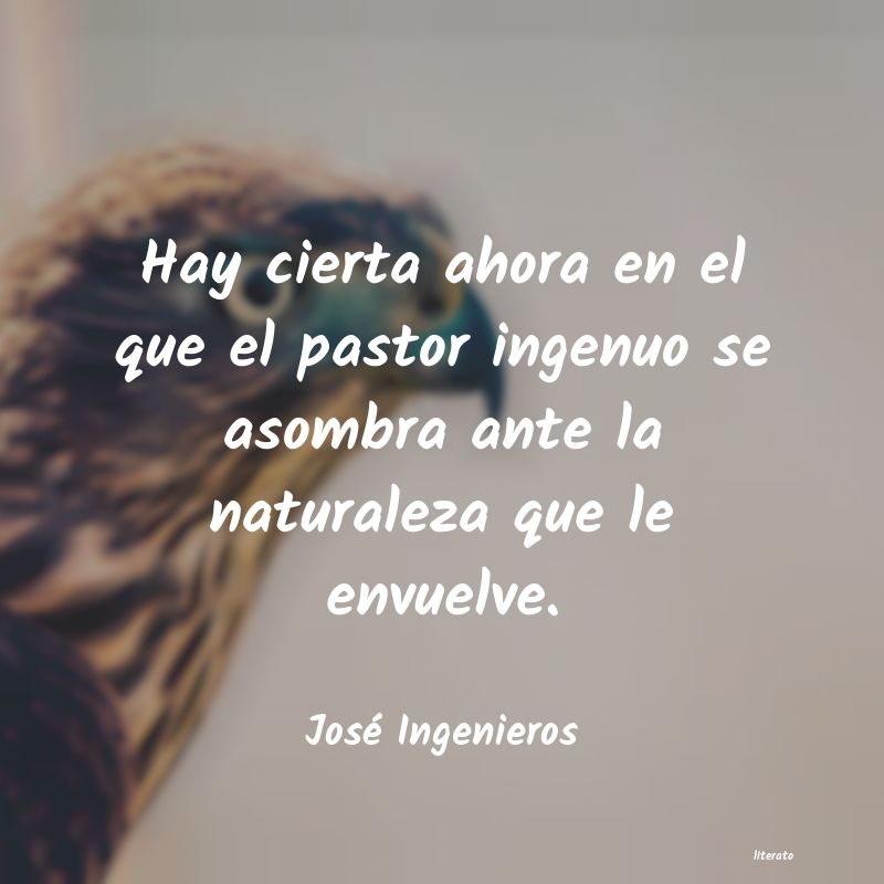 Frases de José Ingenieros