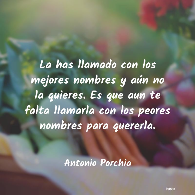 Frases de Antonio Porchia