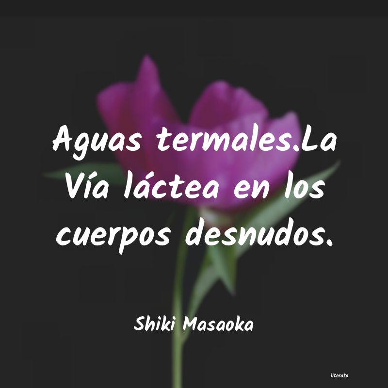 frases de Shiki Masaoka