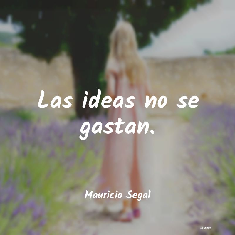 frases de Mauricio Segal