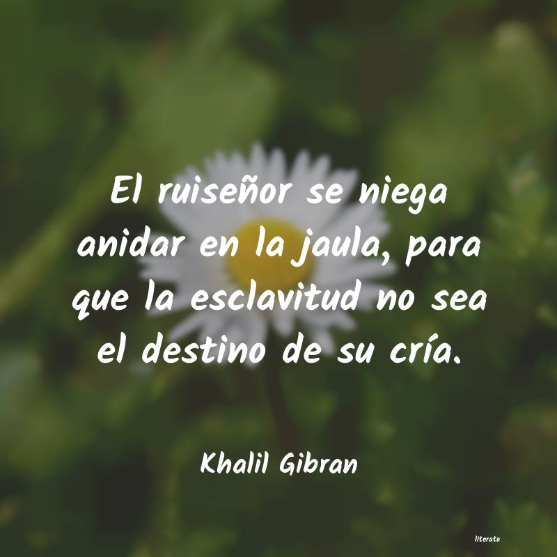 Frases de Khalil Gibran