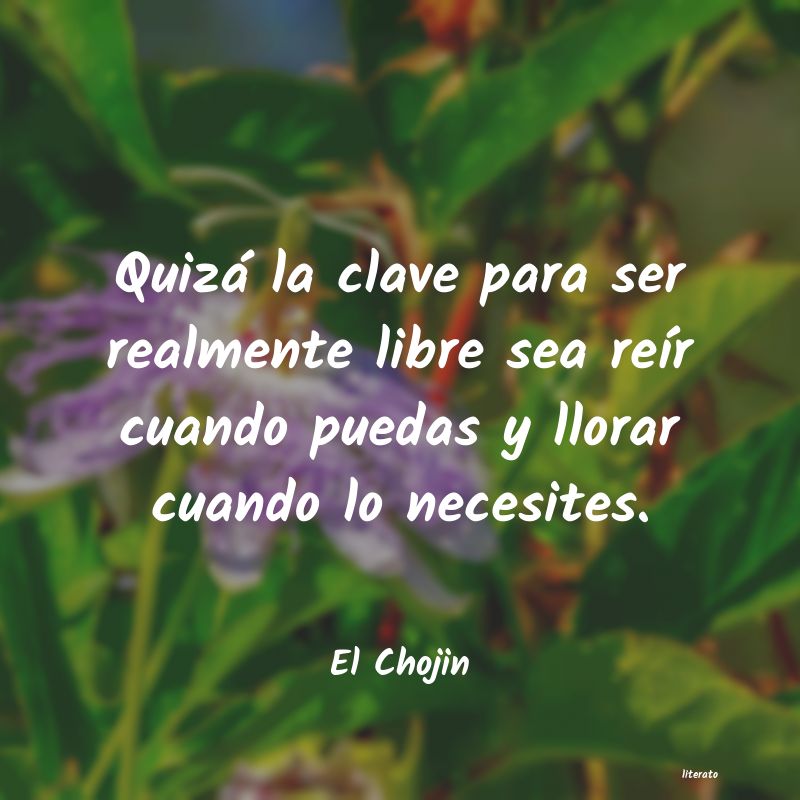 Frases de El Chojin