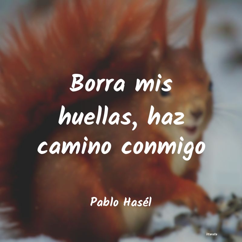 Frases de Pablo Hasél