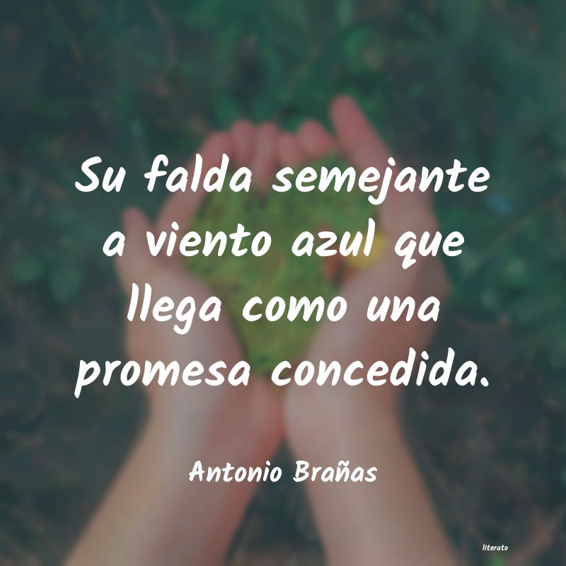 Frases de Antonio Brañas