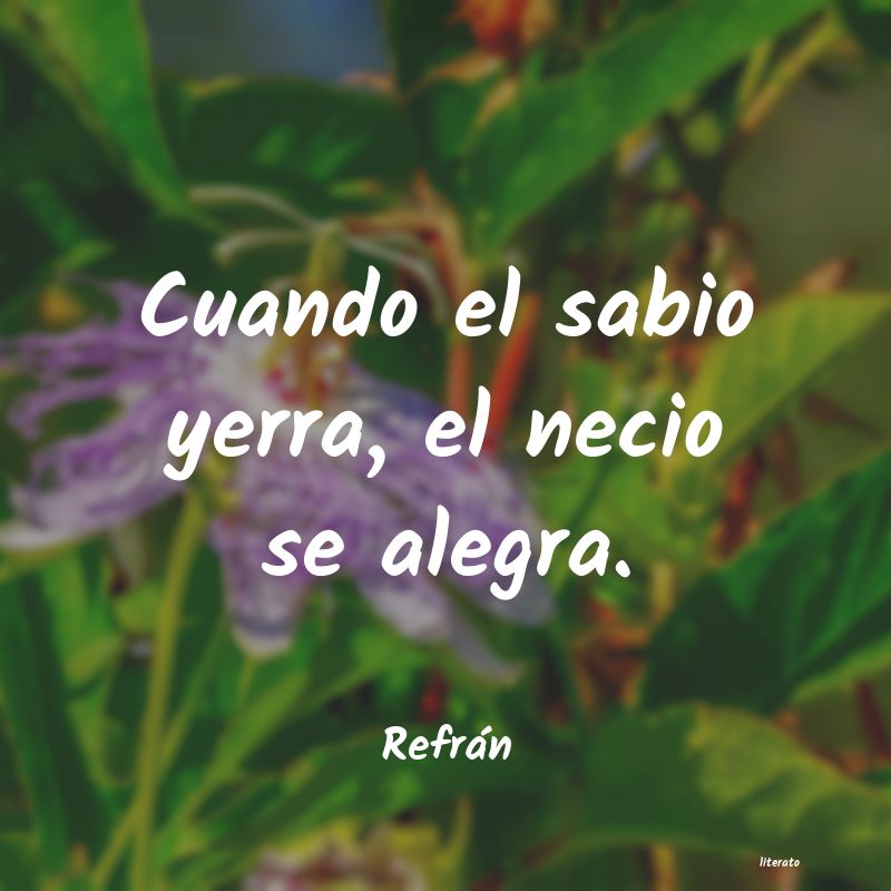 frases de Refrán