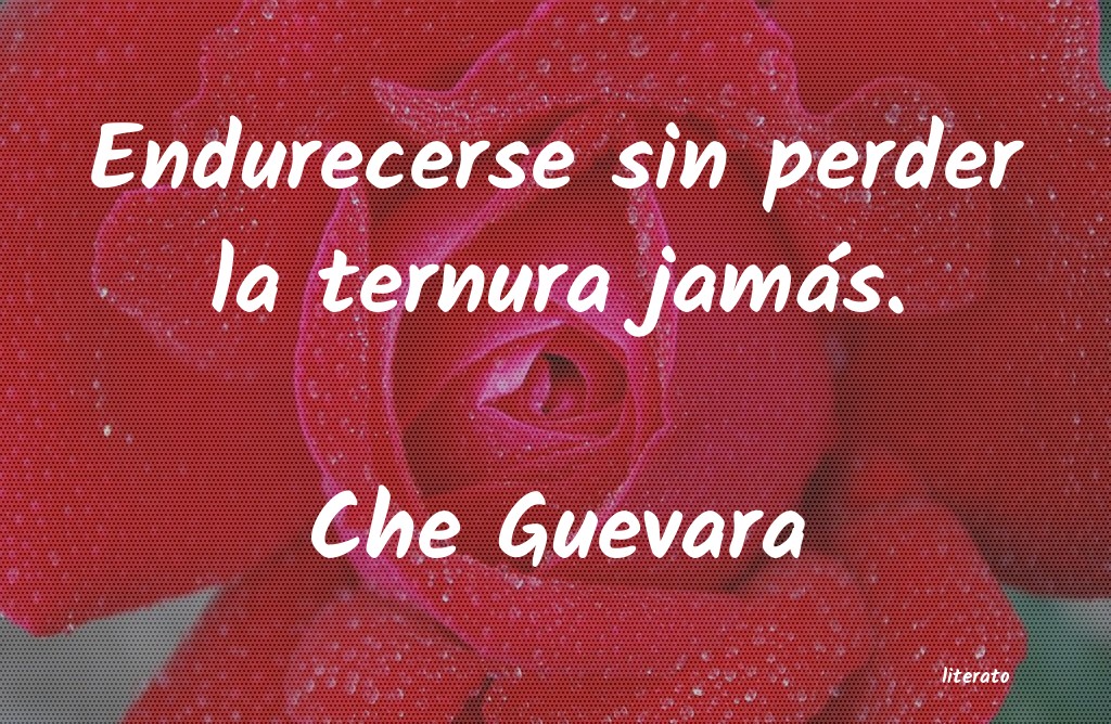 frases de Che Guevara