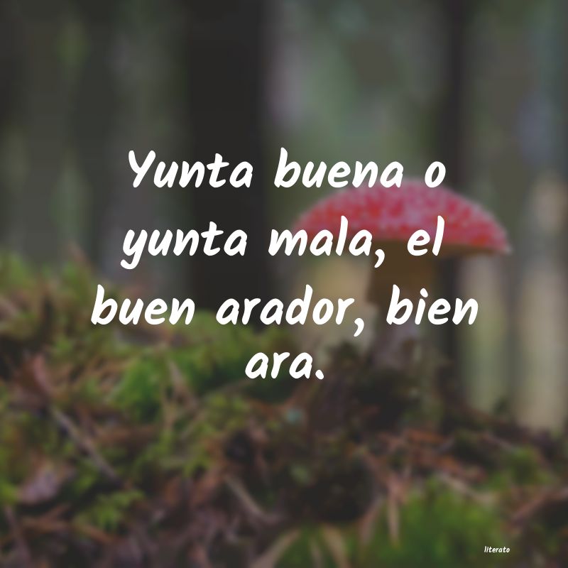 frases