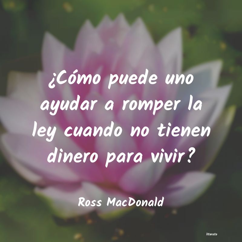 frases de Ross MacDonald