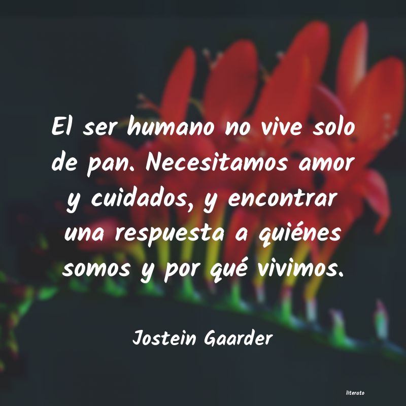 frases de Jostein Gaarder