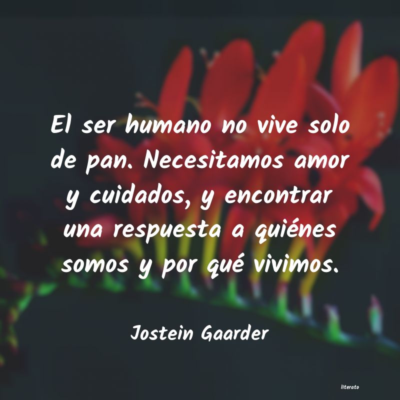 Frases de Jostein Gaarder