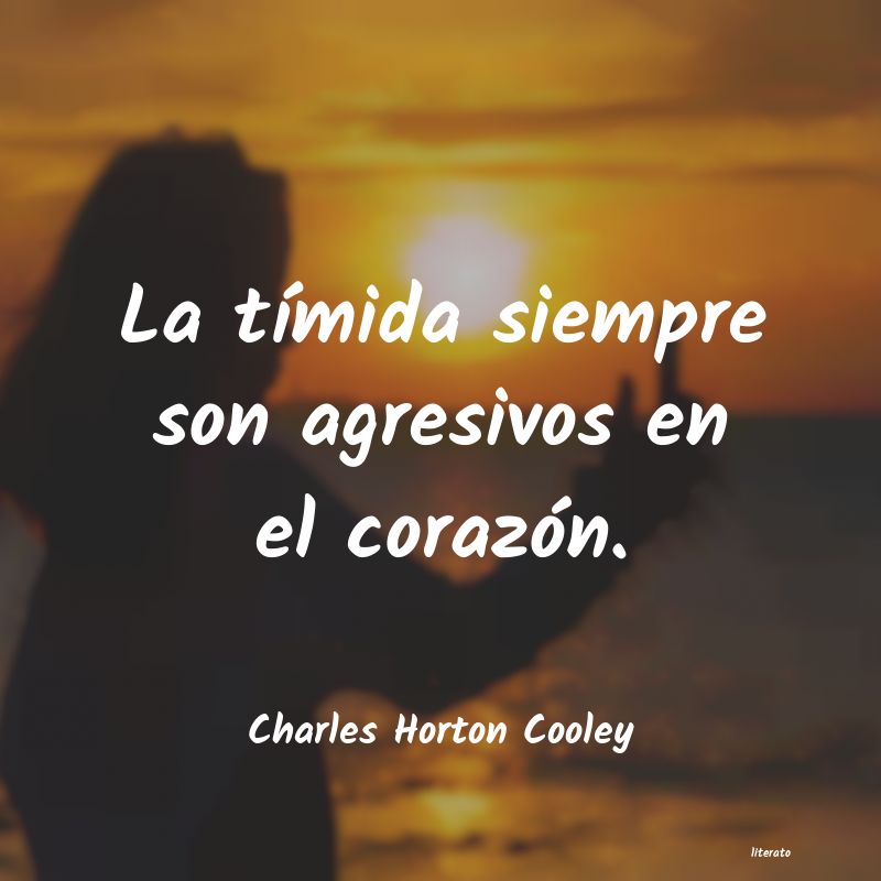 Frases de Charles Horton Cooley