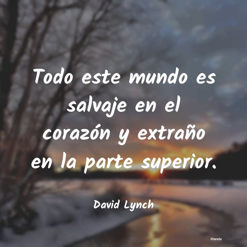 Frases de David Lynch
