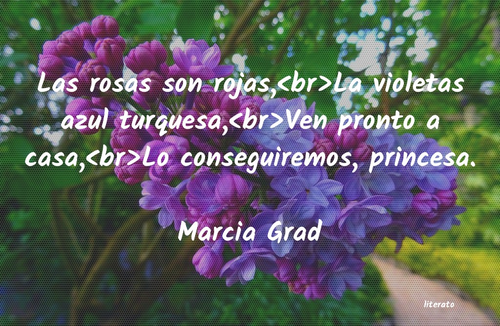 Frases de Marcia Grad
