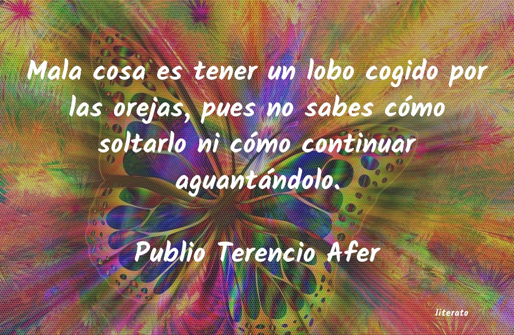 Frases de Publio Terencio Afer