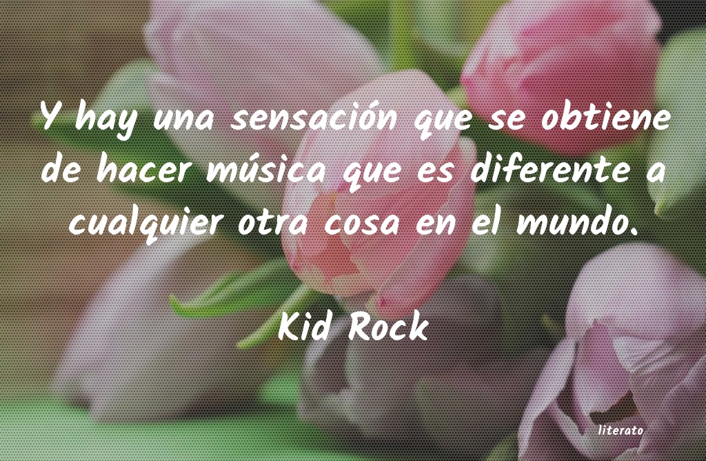 Frases de Kid Rock