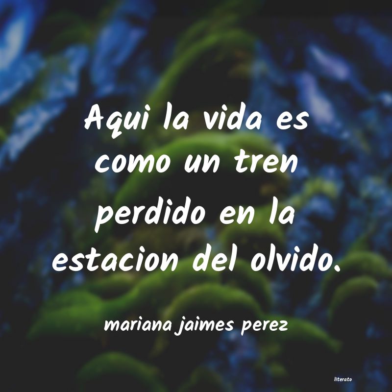 Frases de mariana jaimes perez