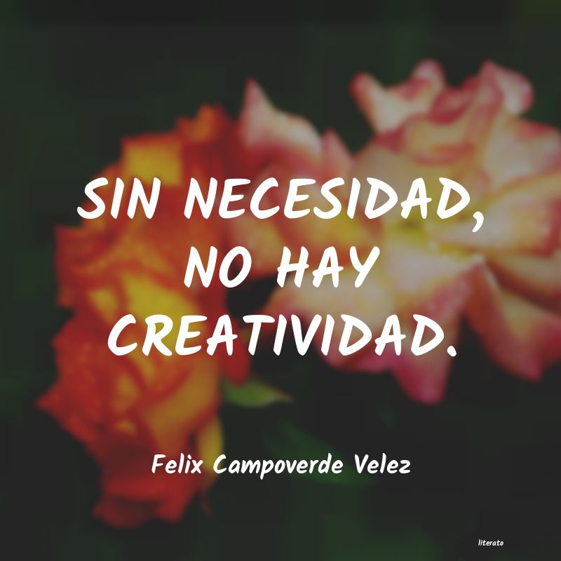 frases de Felix Campoverde Velez