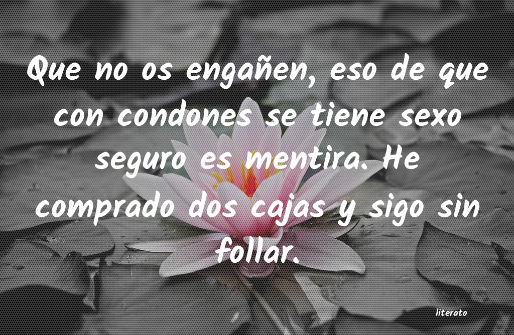 frases