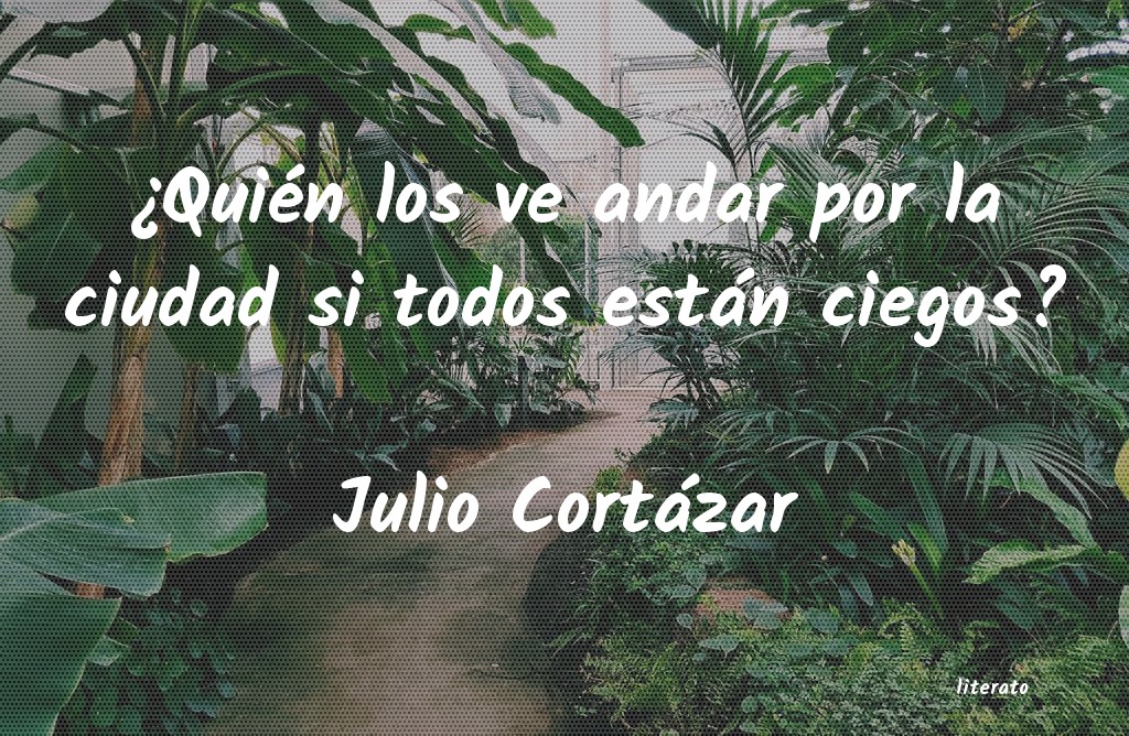 Frases de Julio Cortázar