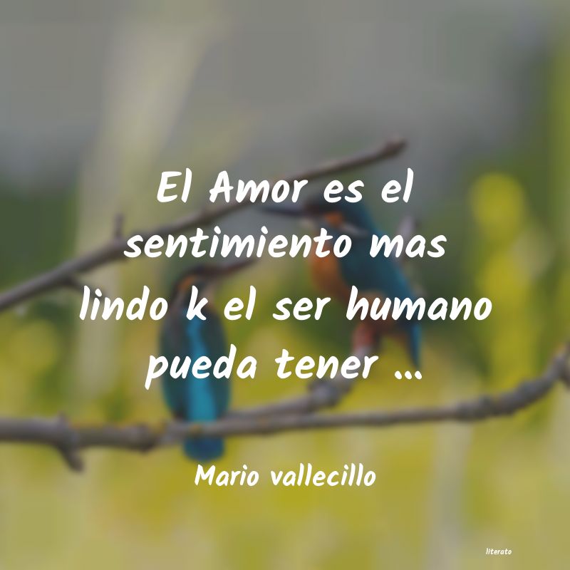 Frases de Mario vallecillo