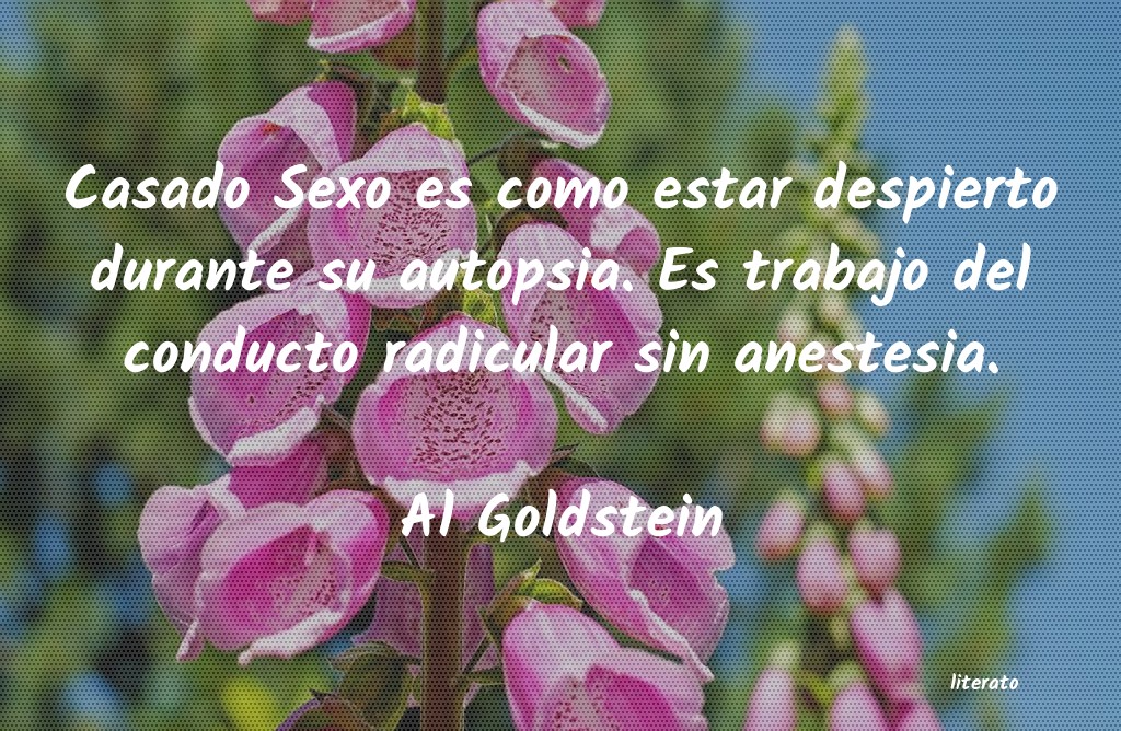 frases de Al Goldstein