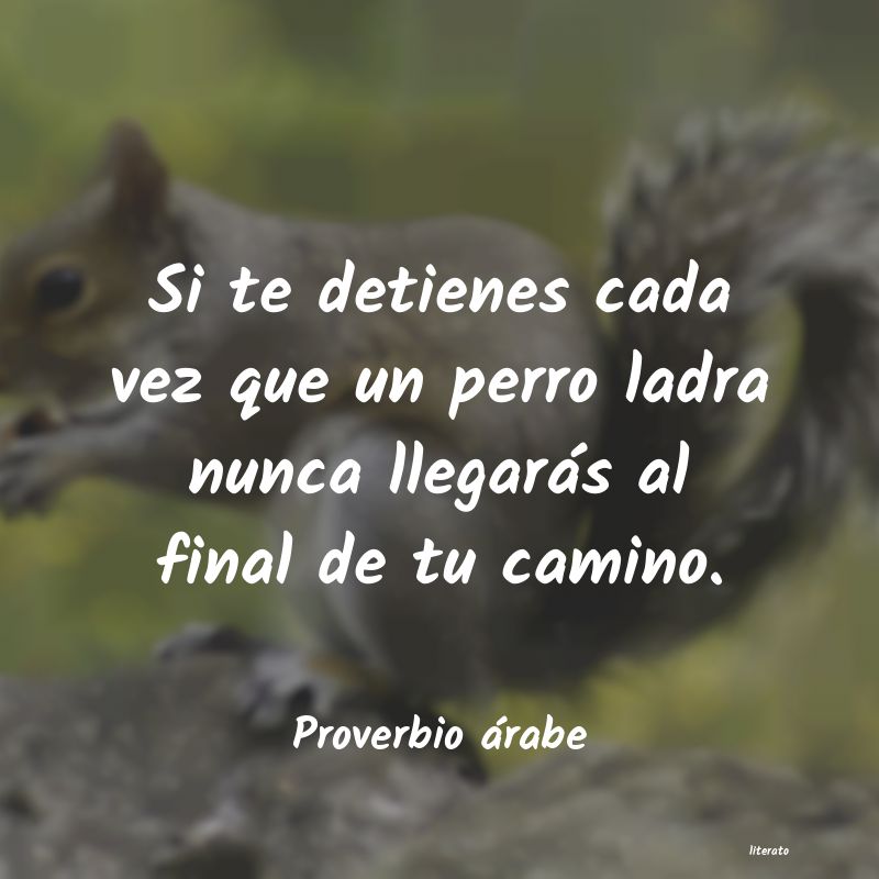 Frases de Proverbio árabe