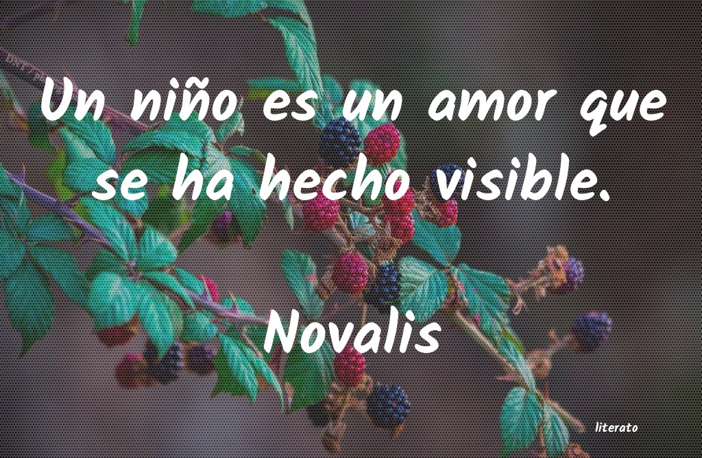 Frases de Novalis