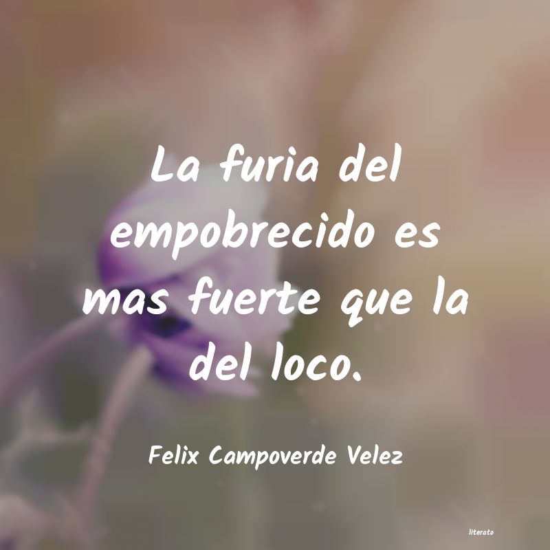 Frases de Felix Campoverde Velez