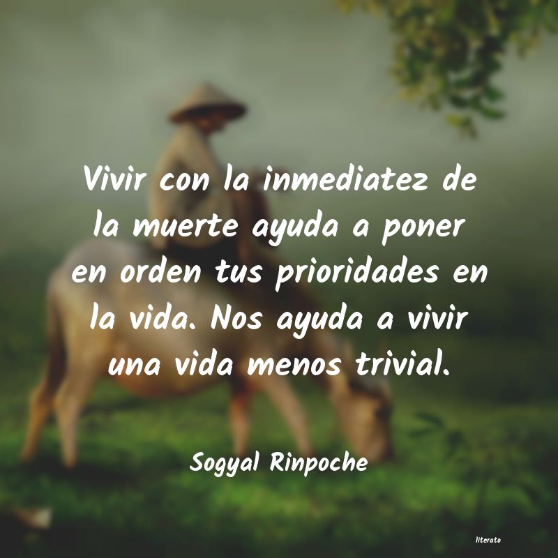 Frases de Sogyal Rinpoche