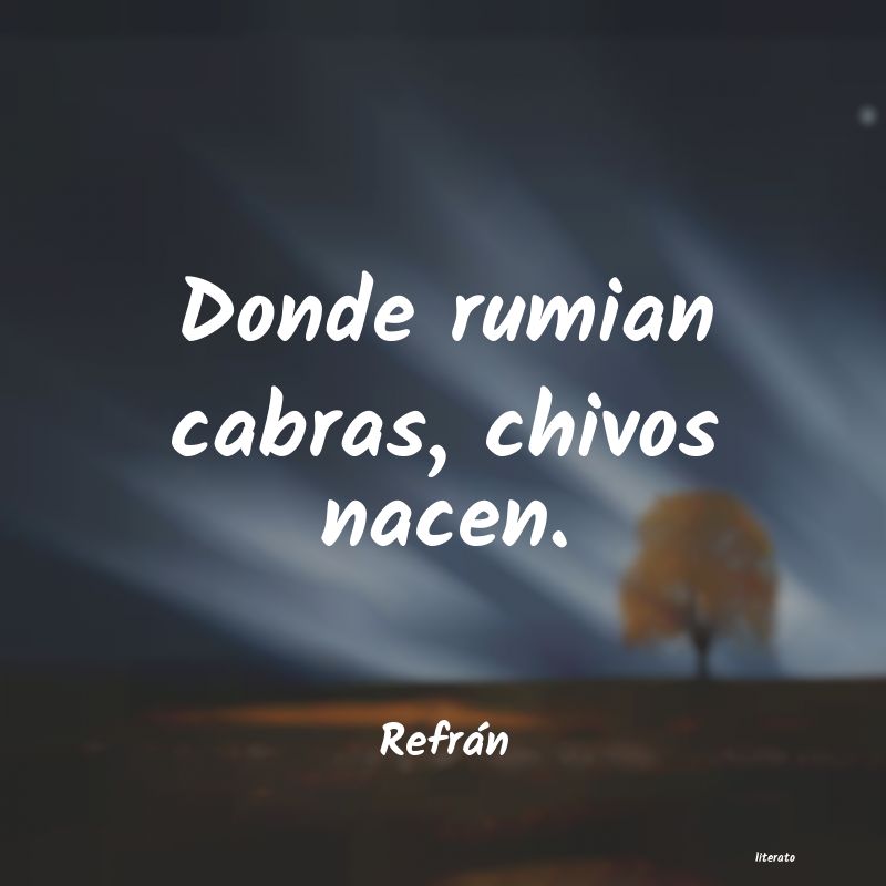 Frases de Refrán