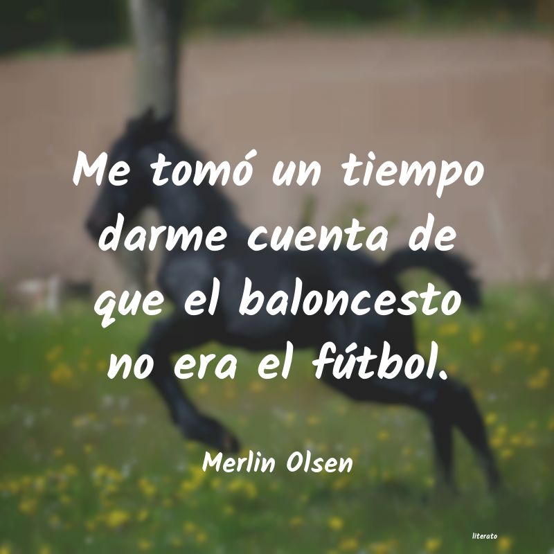 frases de Merlin Olsen