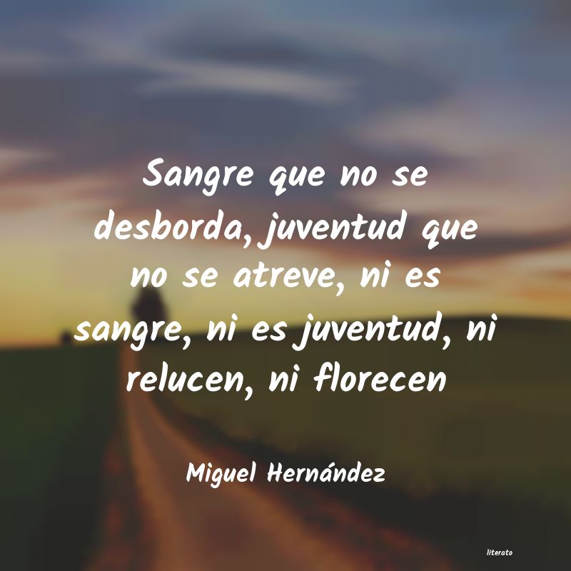 Frases de Miguel Hernández