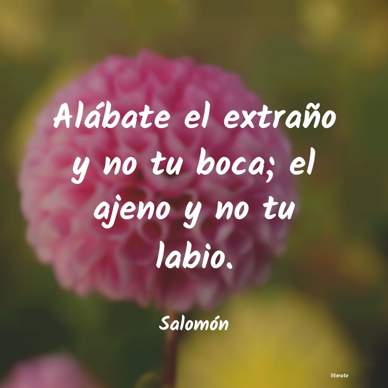 Frases de Salomón