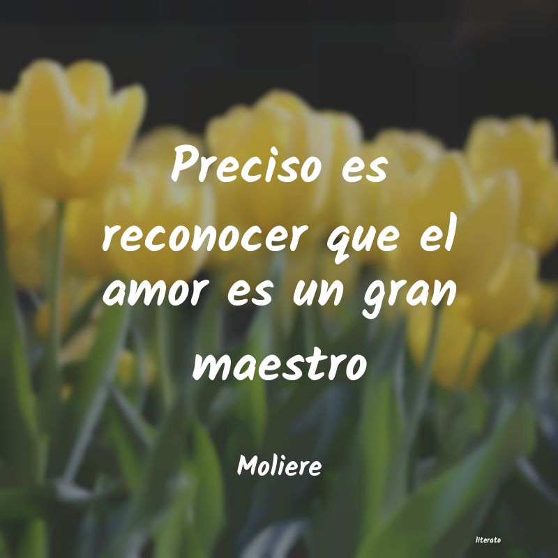 Frases de Moliere