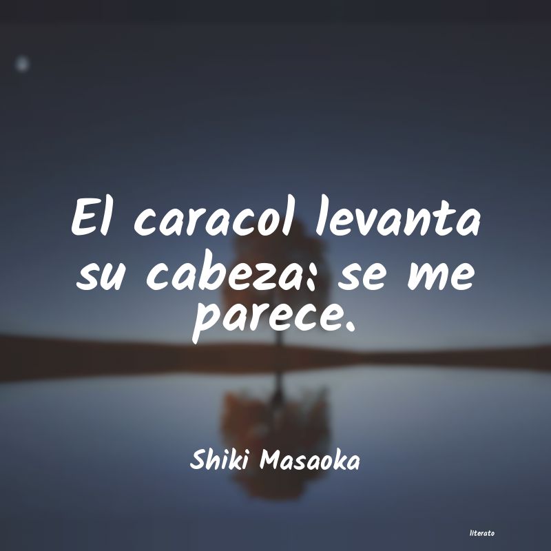 frases de Shiki Masaoka