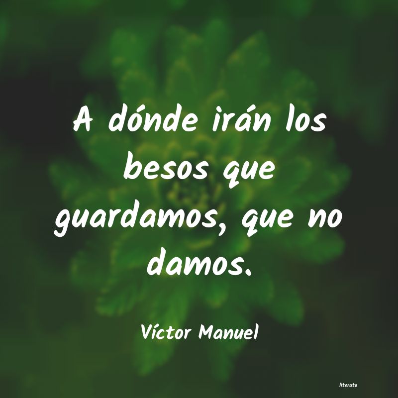 frases de VÃctor Manuel
