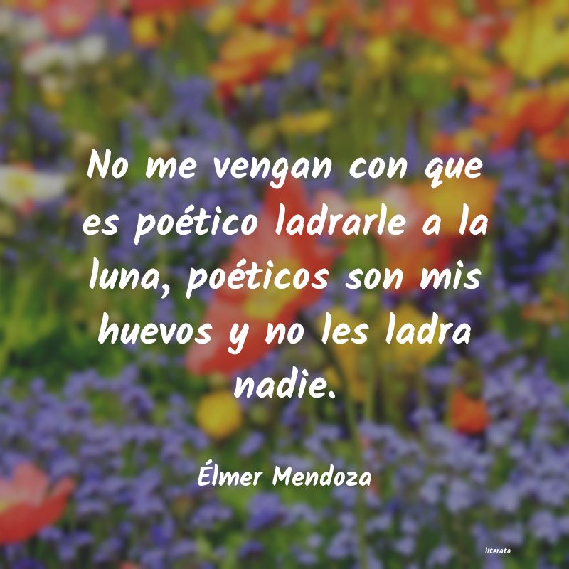 frases de Ãlmer Mendoza