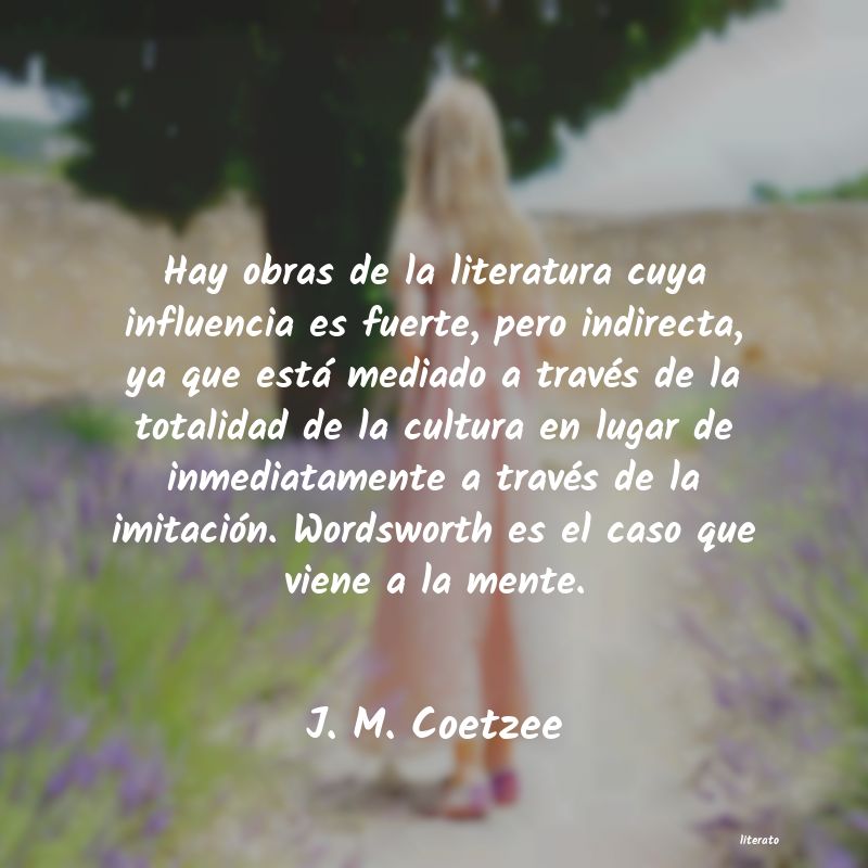 Frases de J. M. Coetzee