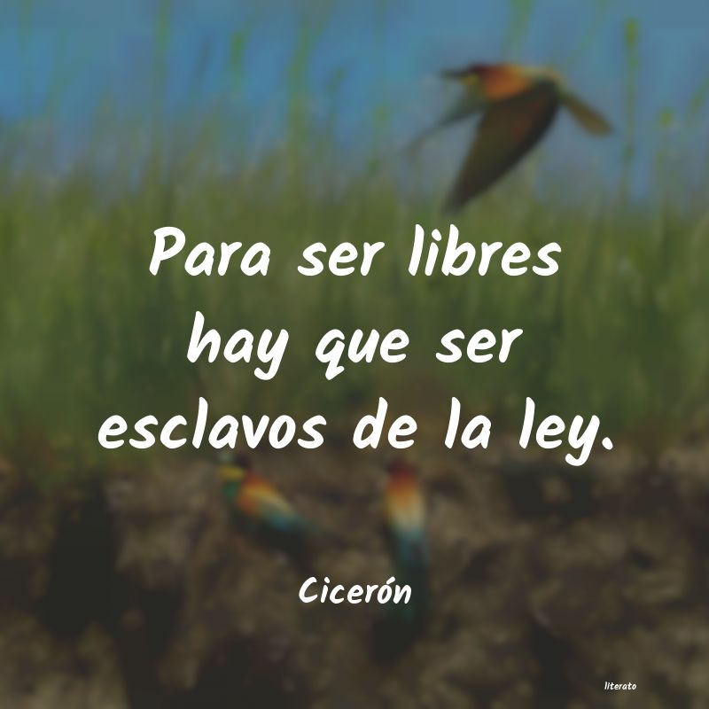 frases de CicerÃ³n