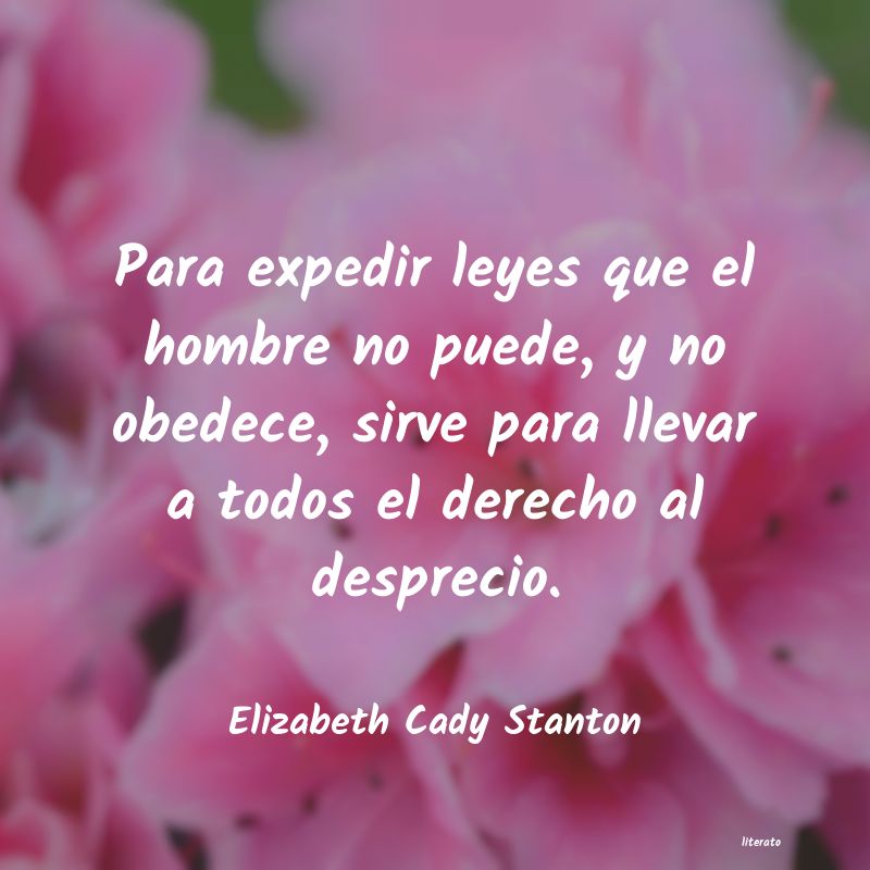 Frases de Elizabeth Cady Stanton