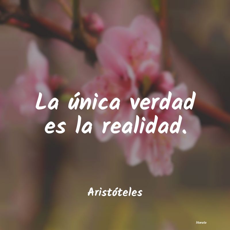 la Ãºnica verdad es la realidad aristoteles