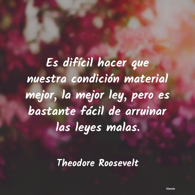 frases de Theodore Roosevelt