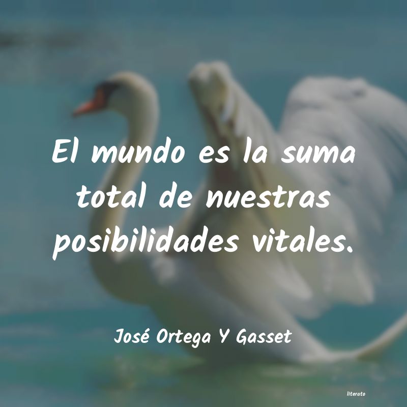 frases de José Ortega Y Gasset