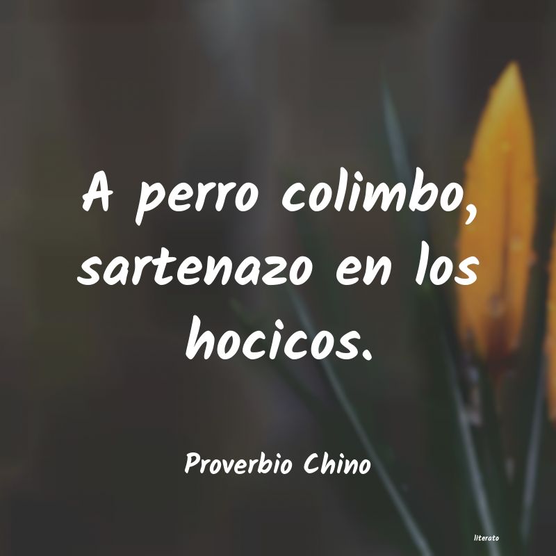 frases de Proverbio Chino