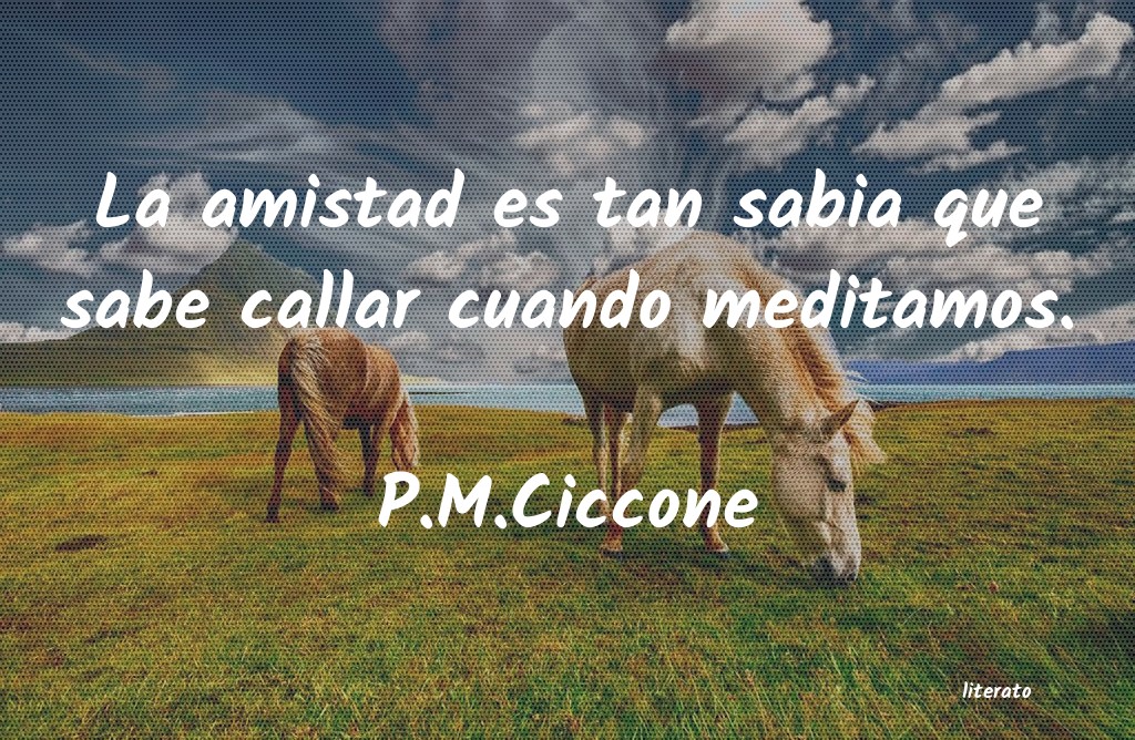 Frases de P.M.Ciccone