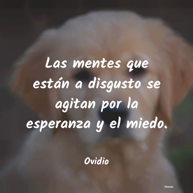 frases de Ovidio